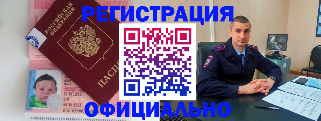 прописка поиск в Нововоронеже